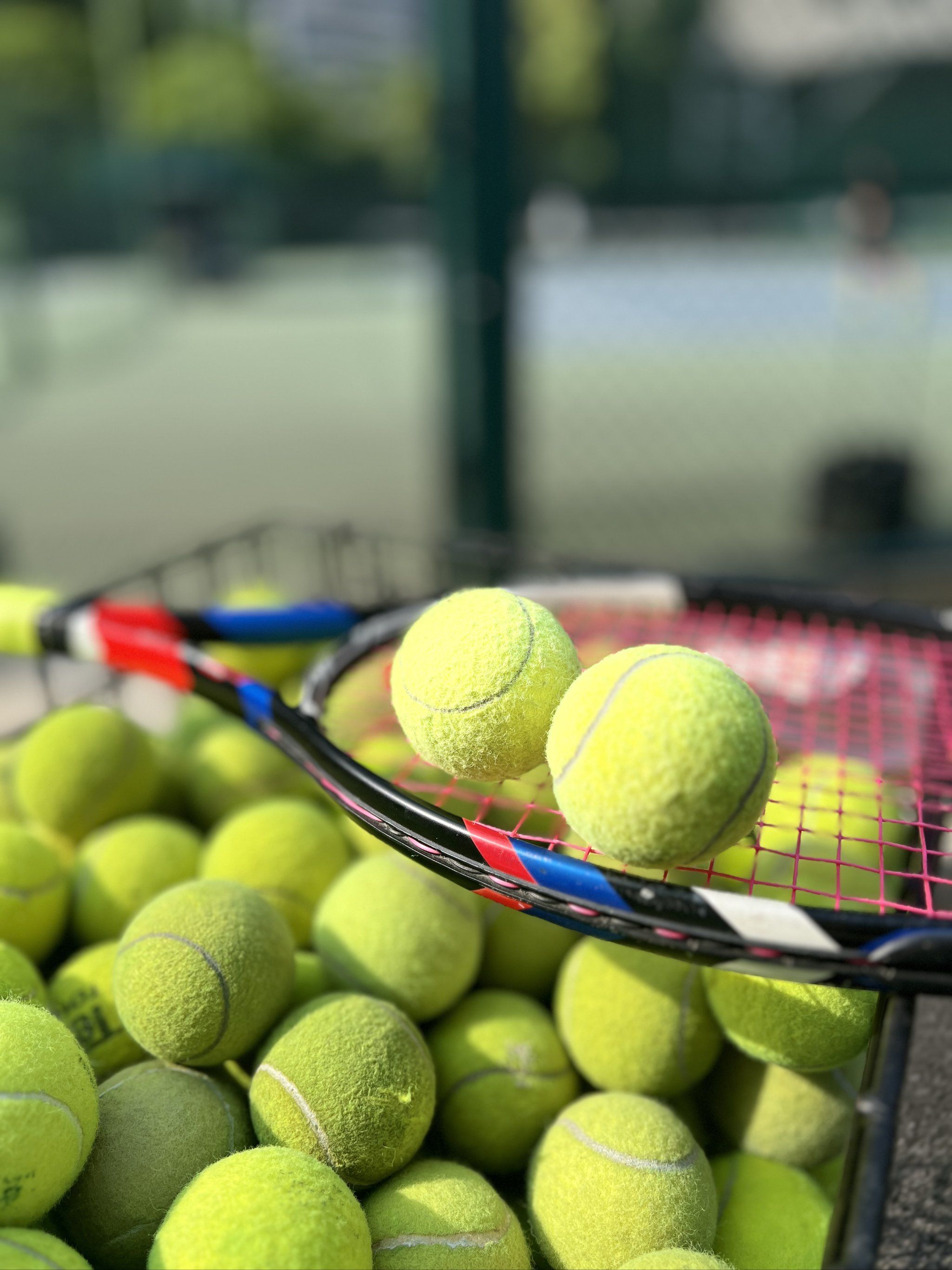 领域取得了 领域取得了