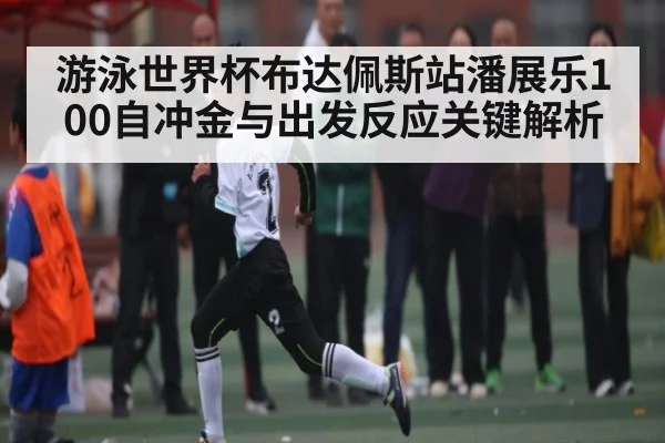游泳世界杯布达佩斯站潘展乐100自冲金与出发反应关键解析